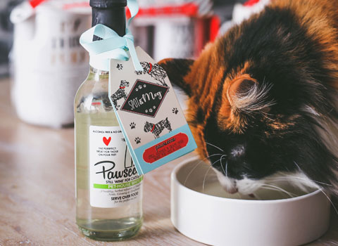 Pawsecco bottle with cat drinking it from a bowl